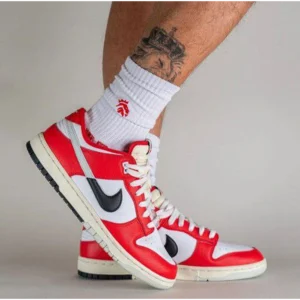 Premium Nike Dunk Low Chicago Split Shoes for Men (AME290)