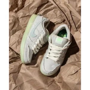 Superb Nike Dunk Shoes for Men (SL4633)