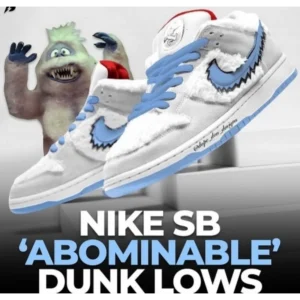 Premium Nike Shoes, SB Dunk For Men (CSO1294)