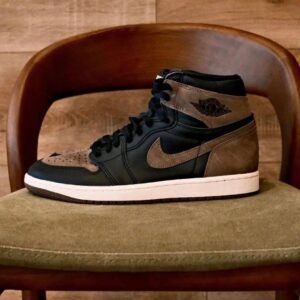 Air Jordan Retro 1 Shoes