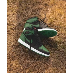 Superb Air Jordan 1 Retro High OG Shoes for Men (SL4501)