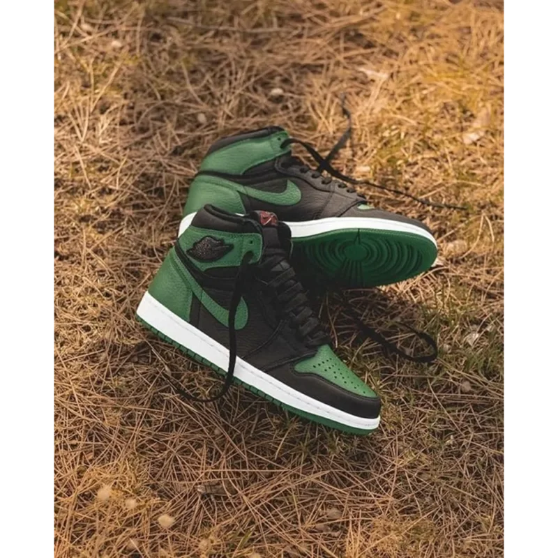Superb Air Jordan 1 Retro High OG Shoes for Men (SL4501)