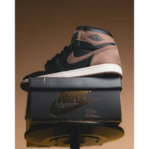 Trendy Nike Air Jordan Retro 1 Palomino Shoes For Men (SHUB567)