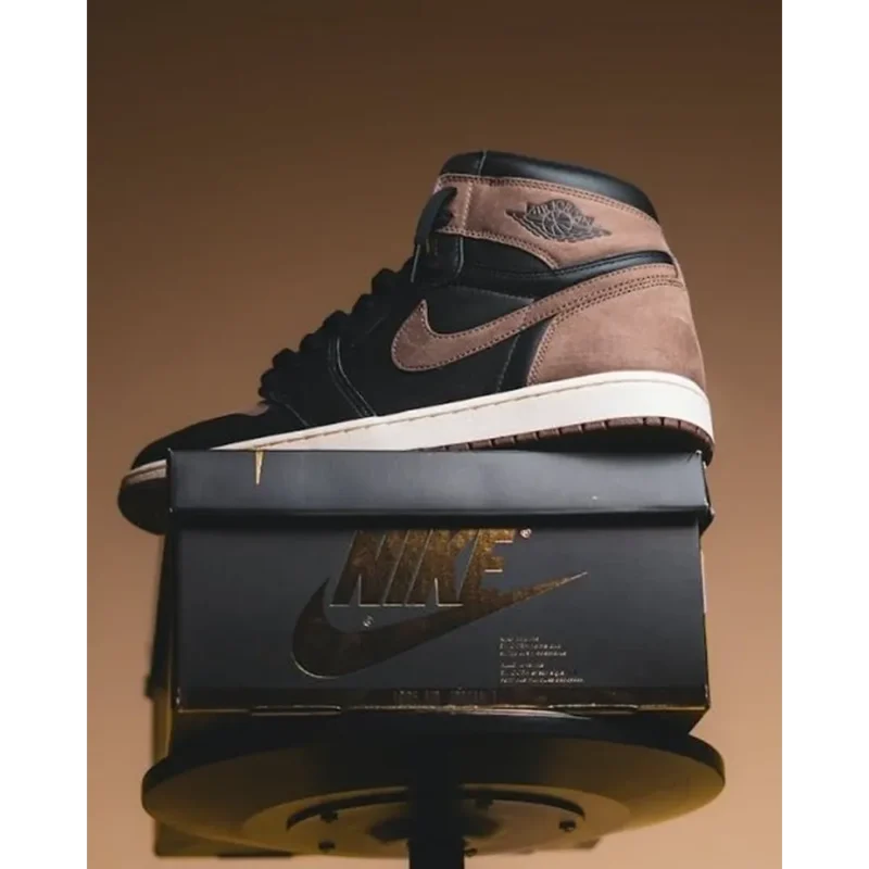 Trendy Nike Air Jordan Retro 1 Palomino Shoes For Men (SHUB567)