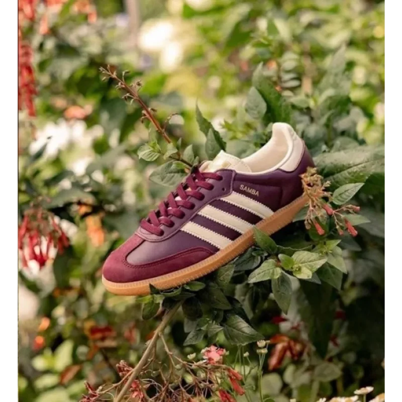 Classy Adidas Samba Classic Maroon Shoes For Men (SHH07856)