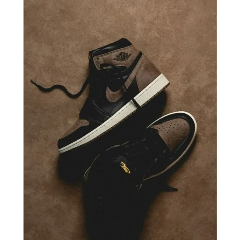 Trendy Air Jordan Retro High Palomino Shoes For Men (CSO4501)