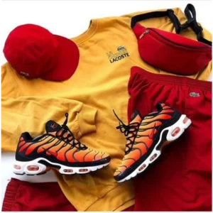 Trendy Nike Air Max Plus Shoes For Men (SHUB767)