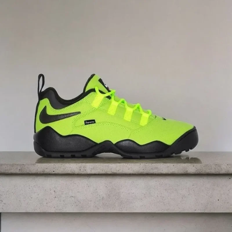 Premium Nike Sb Air Darwin Low Volt Shoes For Men (SW6533)