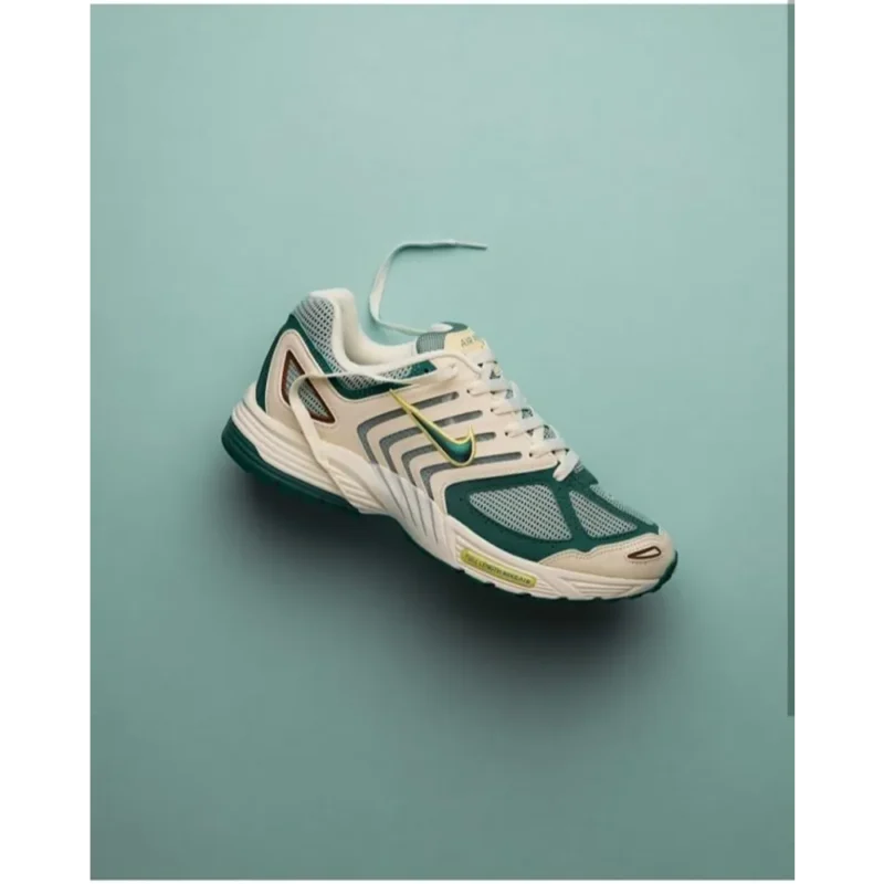 Stylish Nike Air Pegasus 2005 Shoes For Men (SW6183)