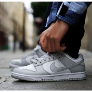 Stylish Nike Sb Dunk Fog Grey Shoes For Men (SW5760)