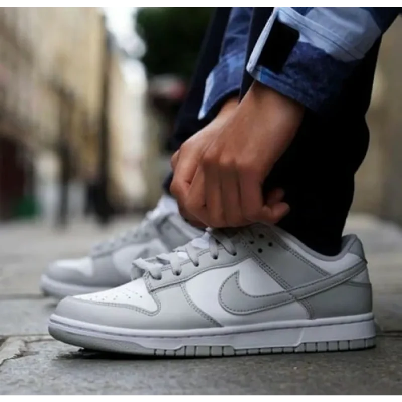Stylish Nike Sb Dunk Fog Grey Shoes For Men (SW5760)