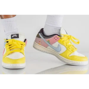 Stylish Nike Sb Dunk Low Pro Be True Shoes For Men (BSF1213)