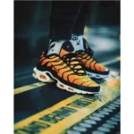 Trendy Nike Air Max Plus Shoes For Men (SF133)