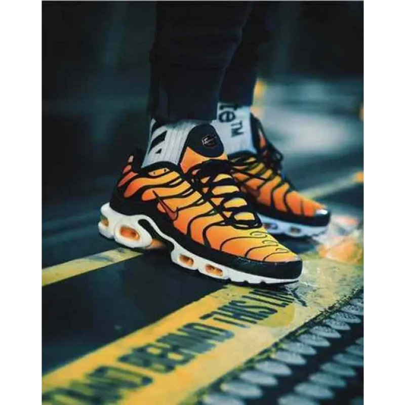 Trendy Nike Air Max Plus Shoes For Men (SF133)