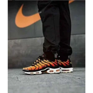 Premium Nike Air Max Plus Shoes For Men (BME149)