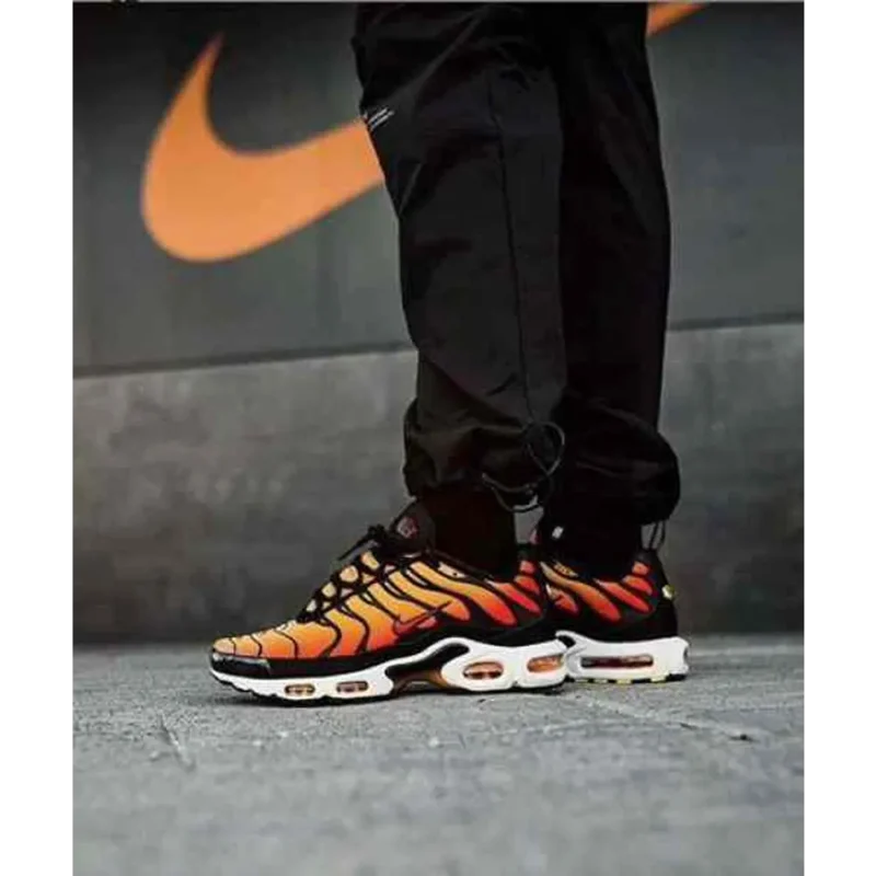 Premium Nike Air Max Plus Shoes For Men (BME149)