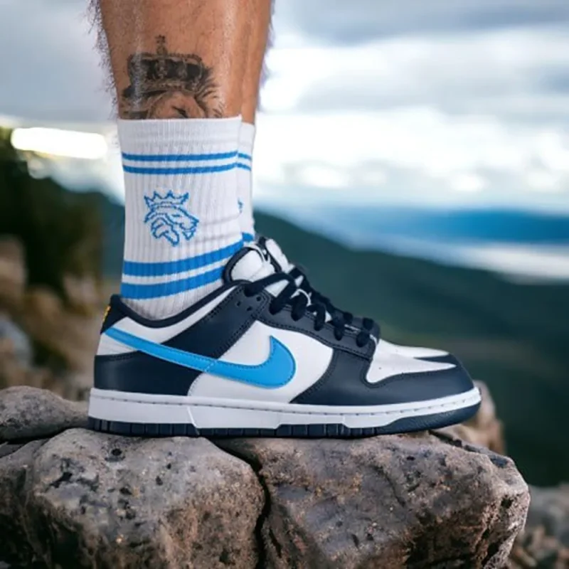 Stylish Nike SB Dunk Low Shoes For Men (BSF1034)