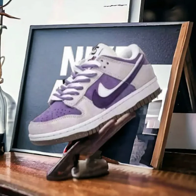 Stylish Nike SB Dunk Low Shoes For Men (BSF1036)