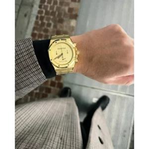 Stylish Audemars Piguet Watch For Men (CSO1528)